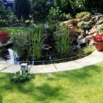 Water Feature Pond