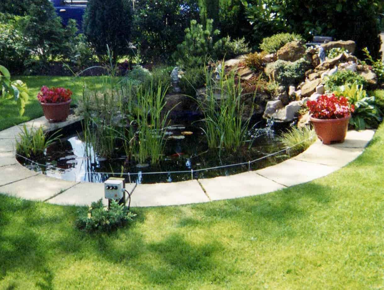 Planting and Water Features Ponds